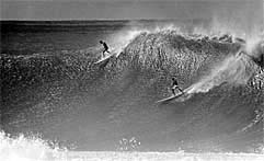 Largest Encyclopedia of Surfing