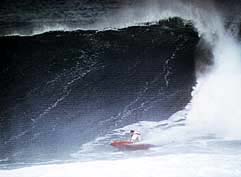 Largest Encyclopedia of Surfing