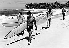 Largest Encyclopedia of Surfing
