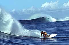 Largest Encyclopedia of Surfing