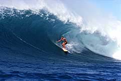 Largest Encyclopedia of Surfing