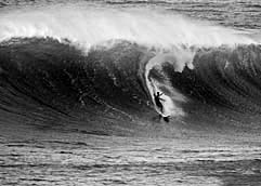 Largest Encyclopedia of Surfing
