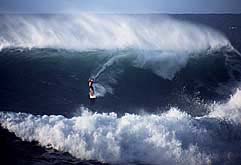 Largest Encyclopedia of Surfing