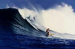 Largest Encyclopedia of Surfing