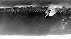 Largest Encyclopedia of Surfing