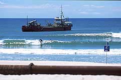 Largest Encyclopedia of Surfing
