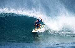 Largest Encyclopedia of Surfing