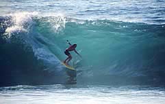 Largest Encyclopedia of Surfing