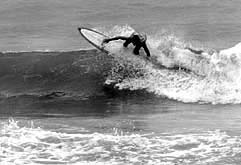 Largest Encyclopedia of Surfing
