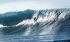 Largest Encyclopedia of Surfing