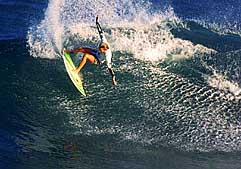 Largest Encyclopedia of Surfing