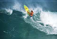 Largest Encyclopedia of Surfing