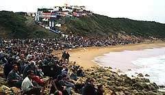 Largest Encyclopedia of Surfing
