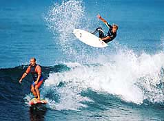 Largest Encyclopedia of Surfing