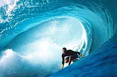 Largest Encyclopedia of Surfing