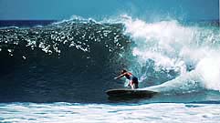 Largest Encyclopedia of Surfing