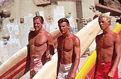 Largest Encyclopedia of Surfing
