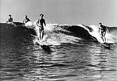 Largest Encyclopedia of Surfing