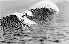 Largest Encyclopedia of Surfing