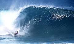 Largest Encyclopedia of Surfing