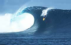 Largest Encyclopedia of Surfing