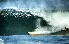 Largest Encyclopedia of Surfing