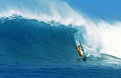Largest Encyclopedia of Surfing