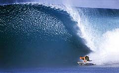 Largest Encyclopedia of Surfing
