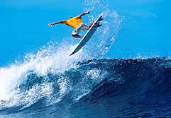 Largest Encyclopedia of Surfing