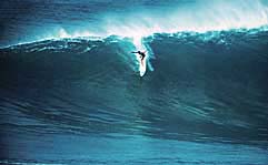 Largest Encyclopedia of Surfing
