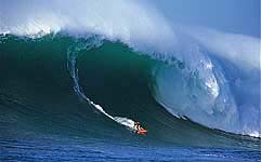Largest Encyclopedia of Surfing