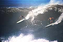 Largest Encyclopedia of Surfing
