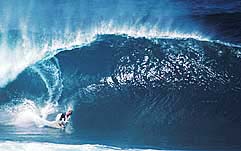 Largest Encyclopedia of Surfing
