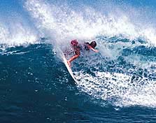 Largest Encyclopedia of Surfing