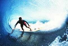 Largest Encyclopedia of Surfing