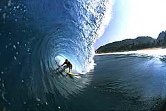 Largest Encyclopedia of Surfing