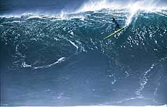 Largest Encyclopedia of Surfing