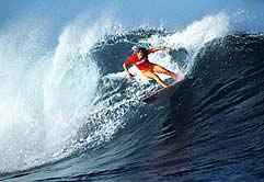 Largest Encyclopedia of Surfing