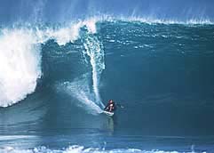 Largest Encyclopedia of Surfing