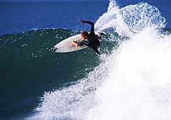 Largest Encyclopedia of Surfing