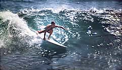 Largest Encyclopedia of Surfing