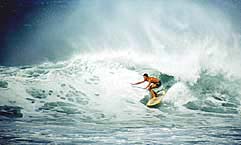 Largest Encyclopedia of Surfing