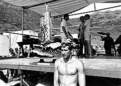 Largest Encyclopedia of Surfing