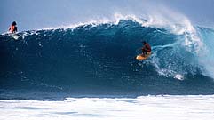 Largest Encyclopedia of Surfing
