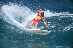 Largest Encyclopedia of Surfing