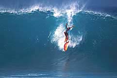 Largest Encyclopedia of Surfing
