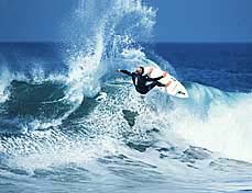 Largest Encyclopedia of Surfing