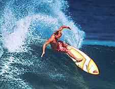 Largest Encyclopedia of Surfing