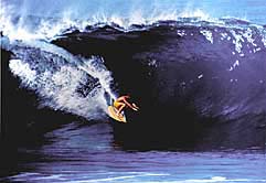 Largest Encyclopedia of Surfing