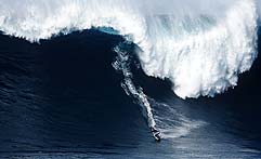 Largest Encyclopedia of Surfing
